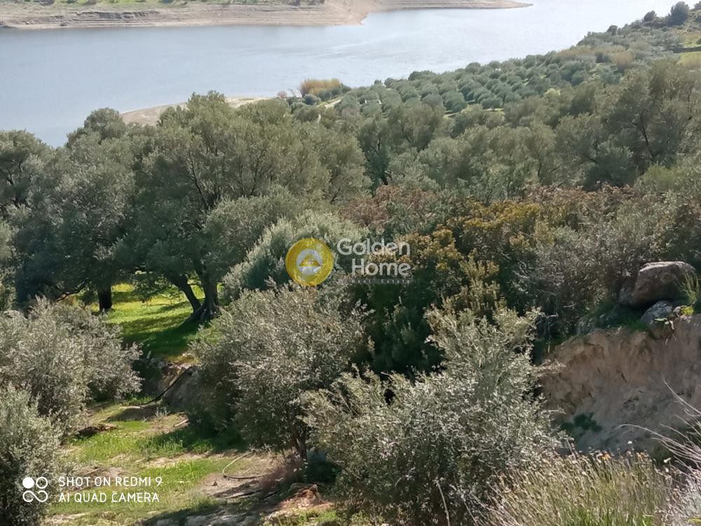 Αγροτεμάχια 13.141 τ.μ. προς πώληση, Λαλουμάς