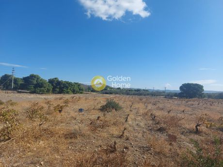 Parcel 2.883sqm for sale-Keratea » Agios Georgios Thorikou