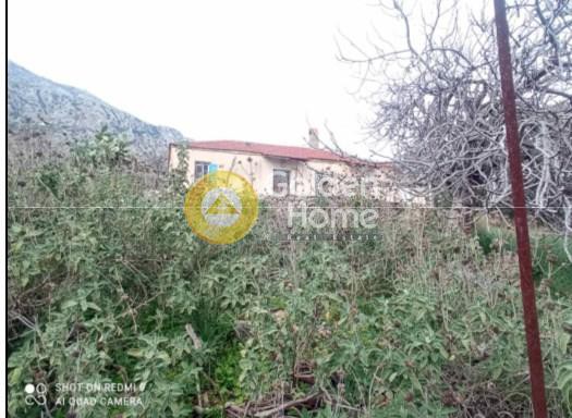 Αγροτεμάχια 12.800 τ.μ. πρός πώληση, Αιτωλοακαρνανία, Αστακός