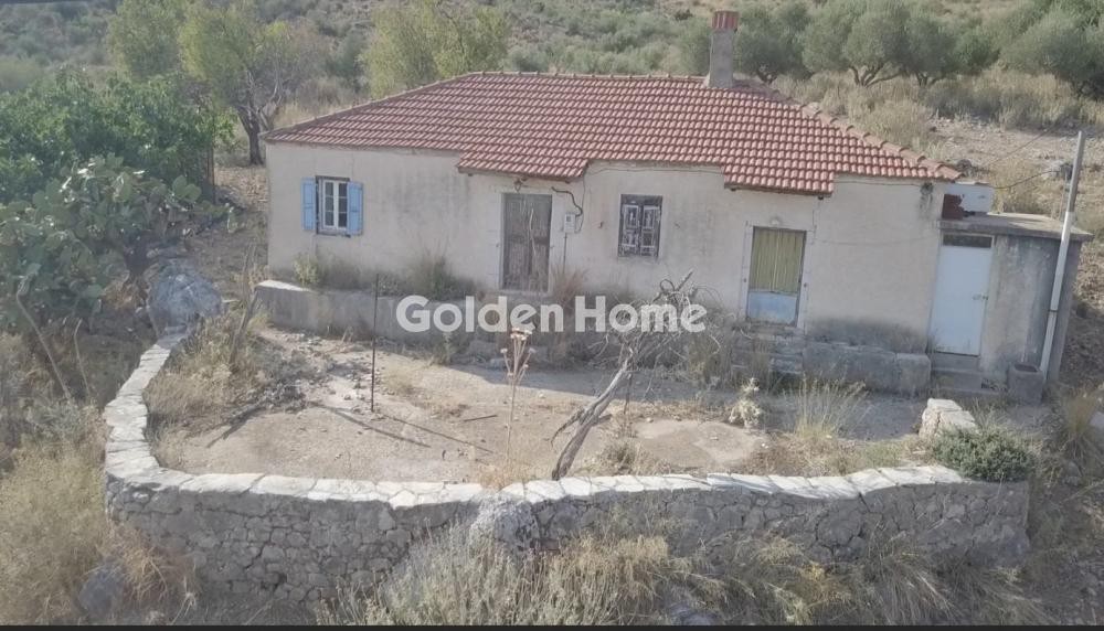 Αγροτεμάχια 12.800 τ.μ. πρός πώληση, Αιτωλοακαρνανία, Αστακός