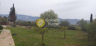 Μεζονέτα 148 τ.μ. για ενοικίαση, Φωκίδα, Γαλαξίδι-thumb-3