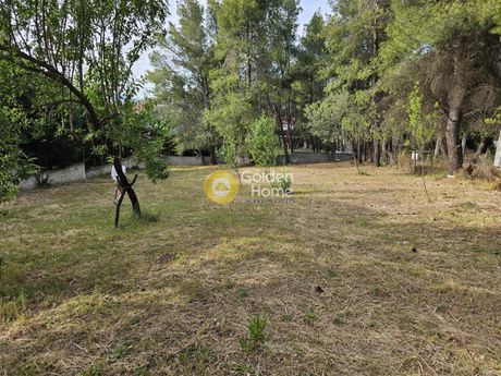 Οικόπεδο 700 τ.μ. για πώληση