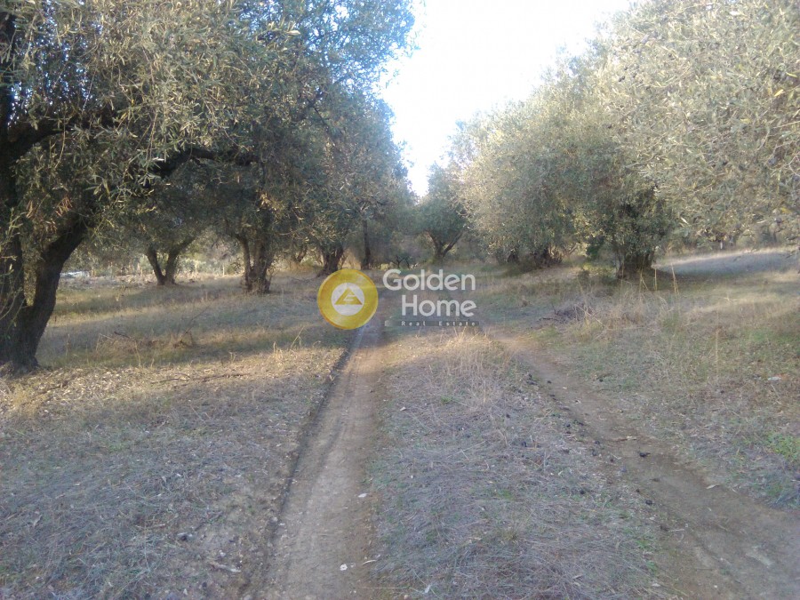 Αγροτεμάχια 800 τ.μ. προς πώληση, Άγιος Γεώργιος Λιχάδας
