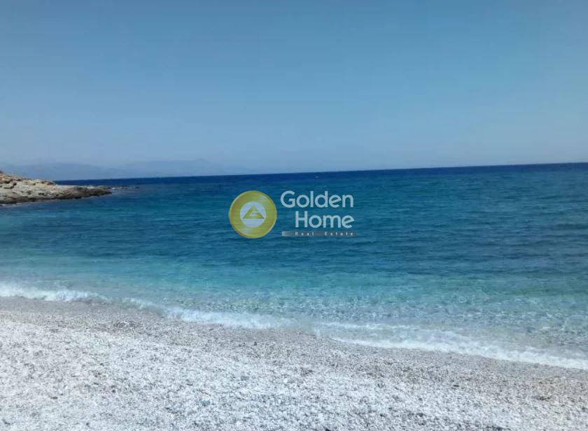 Αγροτεμάχια 28.000 τ.μ. προς πώληση, Καστρί Καρύστου
