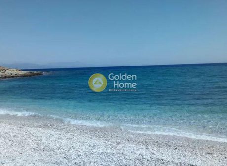 Αγροτεμάχια 28.000 τ.μ. για πώληση