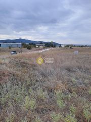 Αγροτεμάχια 13.200 τ.μ. για πώληση