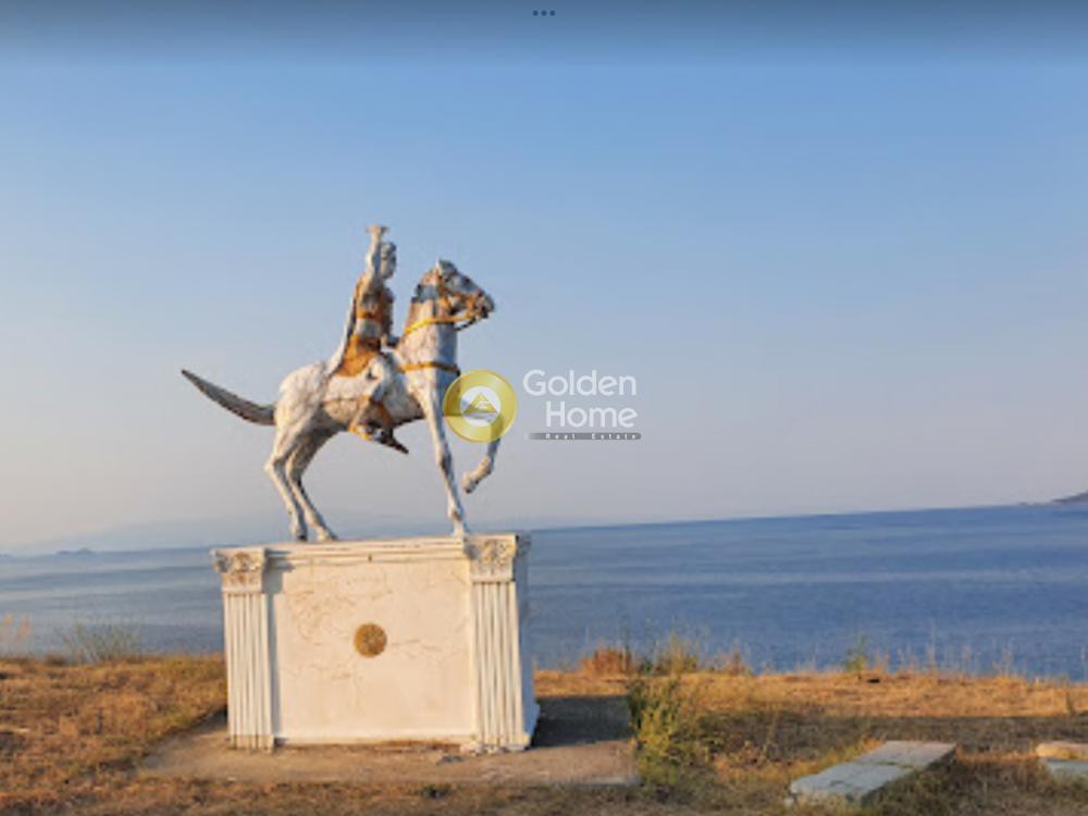 Αγροτεμάχια 9.000 τ.μ. προς πώληση, Άγιος Ιωάννης Πρόδρομος Παναγιάς