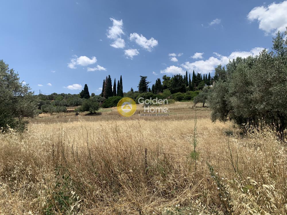 Οικόπεδο 2.300 τ.μ. προς πώληση, Αλιβέρι