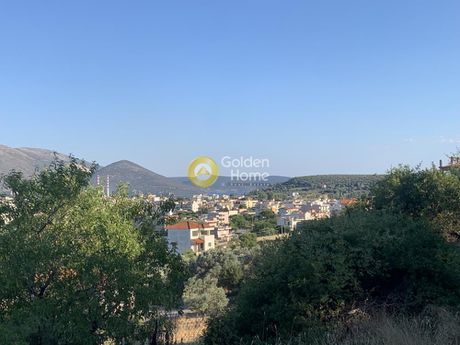 Οικόπεδο 2.300τ.μ. για πώληση-Ταμύνες » Αλιβέρι
