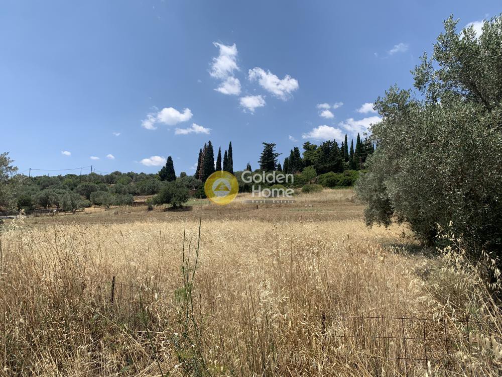 Οικόπεδο 2.300 τ.μ. προς πώληση, Αλιβέρι