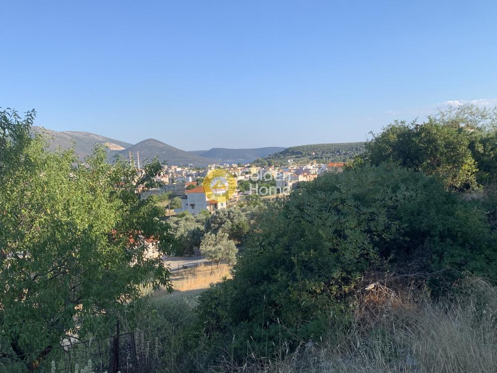 Οικόπεδο 2.300 τ.μ. προς πώληση, Αλιβέρι