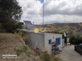 Αγροτεμάχια 5.000 τ.μ. για πώληση