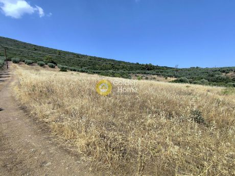 Αγροτεμάχια 10.013τ.μ. για πώληση-Ορμύλια » Μετόχι