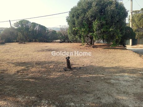 Land plot 351sqm for sale-Lavrio » Ano Thoriko