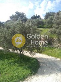Οικόπεδο 17.830τ.μ. για πώληση-Ηράκλειο κρήτης » Σεμέλη
