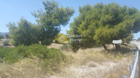 Οικόπεδο 24.750τ.μ. για πώληση-Βίλια » Λούμπα