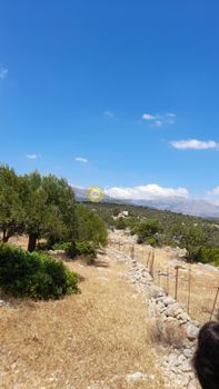 Οικόπεδο 9.200τ.μ. για πώληση-Άγιος νικόλαος » Πύργος