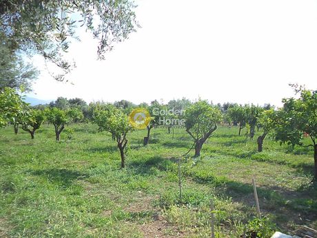 Parcel 3.257sqm for sale-Aigio » Digeliotika