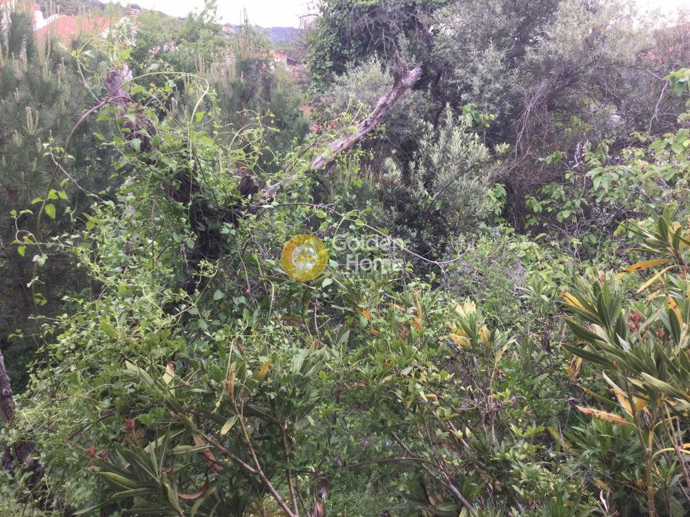 Οικόπεδο 620 τ.μ. πρός πώληση, Θεσσαλονίκη - Περιφ/Κοί Δήμοι, Πεύκα