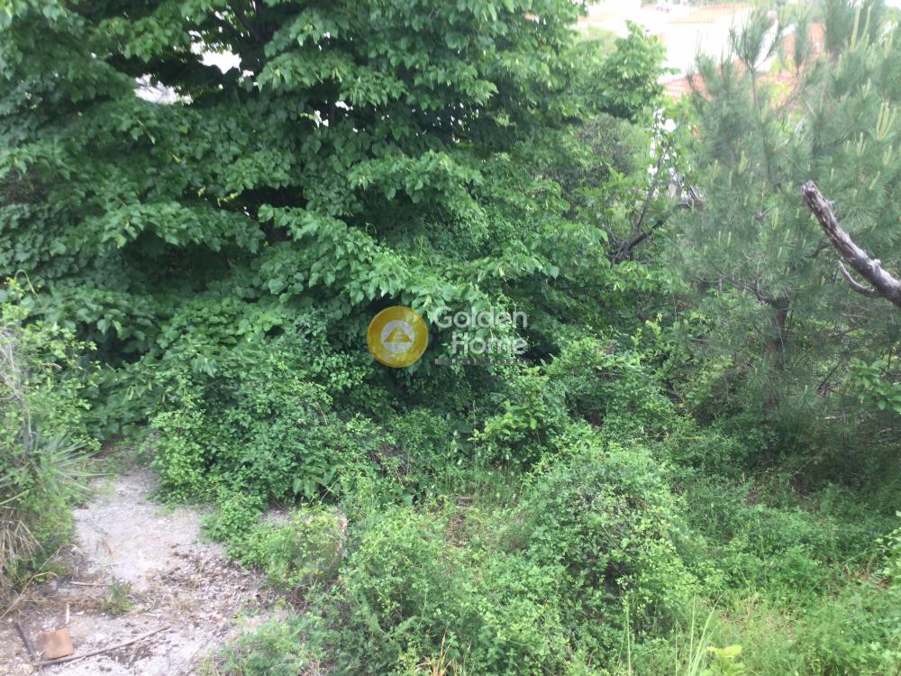 Οικόπεδο 620 τ.μ. πρός πώληση, Θεσσαλονίκη - Περιφ/Κοί Δήμοι, Πεύκα