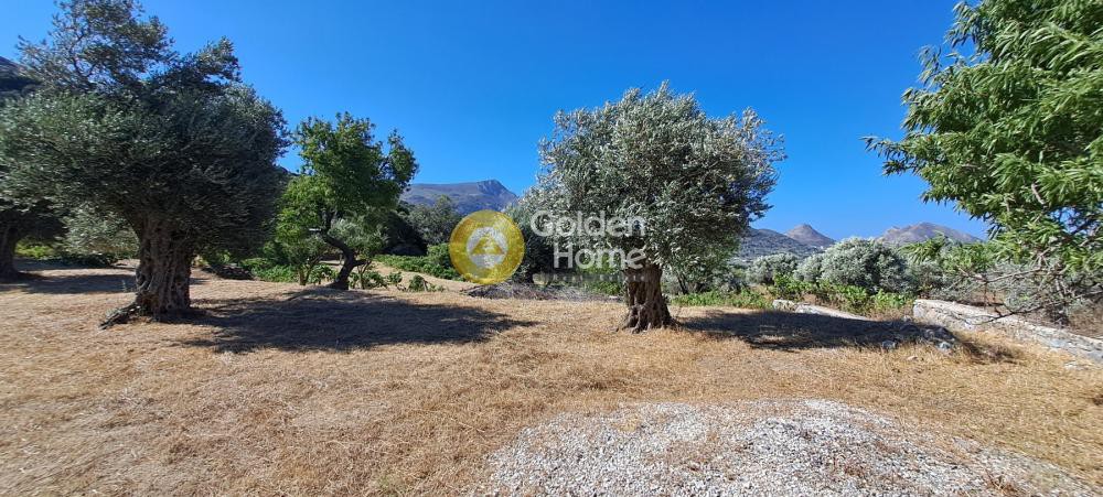 Αγροτεμάχια 4.300 τ.μ. προς πώληση, Καλόξυλος