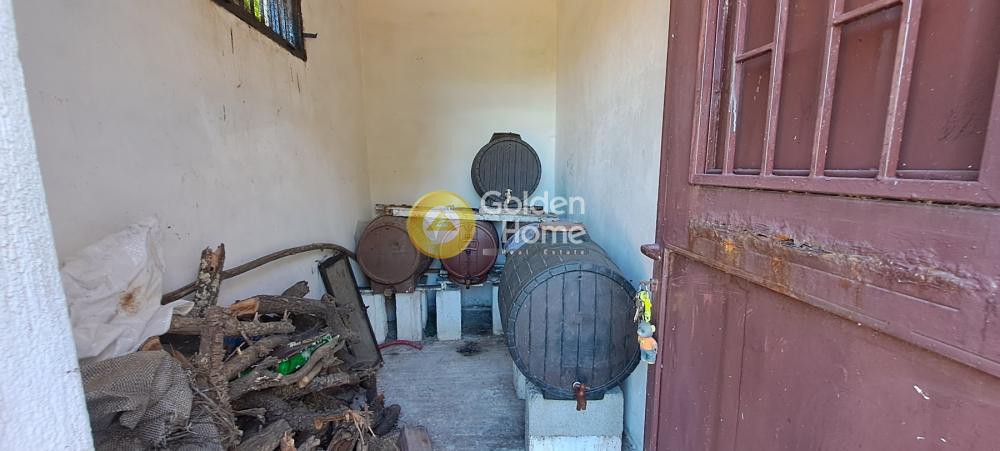 Αγροτεμάχια 4.300 τ.μ. προς πώληση, Καλόξυλος
