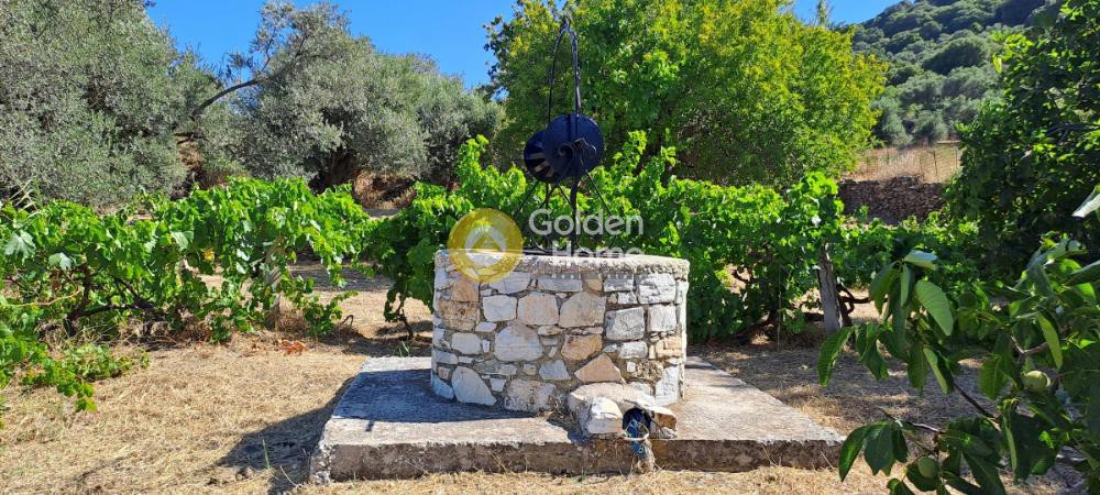 Αγροτεμάχια 4.300 τ.μ. προς πώληση, Καλόξυλος