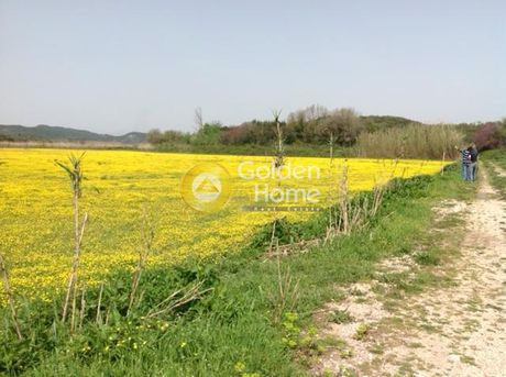 Αγροτεμάχια 7.000τ.μ. για πώληση-Αιτωλικό » Νησάκι