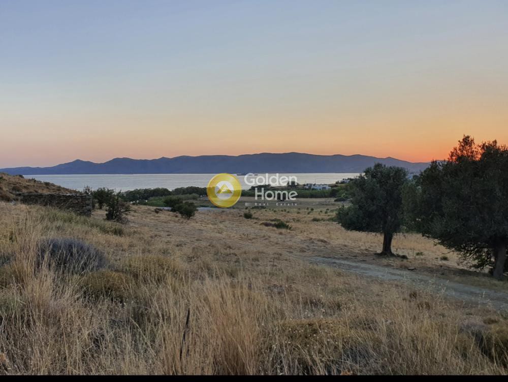 Οικόπεδο 13.600 τ.μ. προς πώληση, Πηγαδάκια Καρύστου