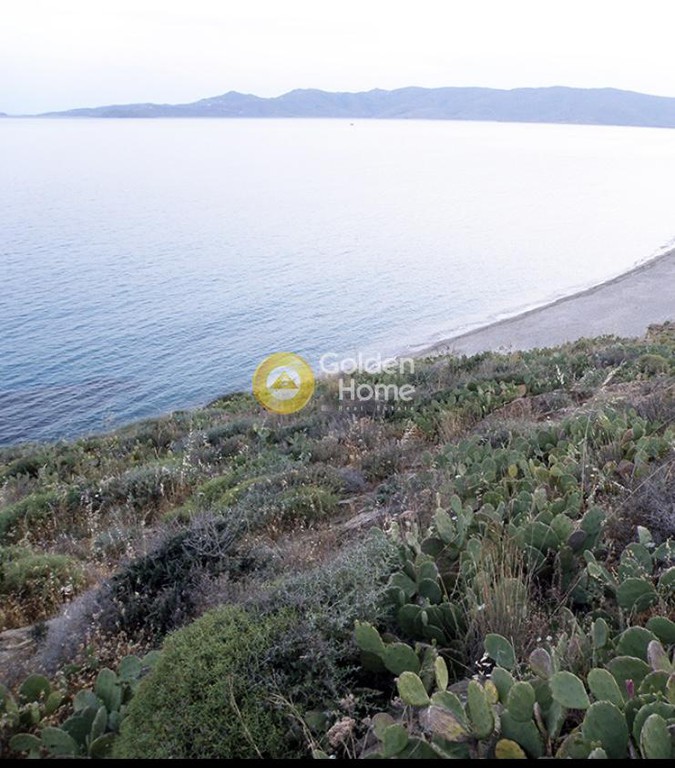 Οικόπεδο 13.600 τ.μ. προς πώληση, Πηγαδάκια Καρύστου