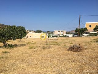 Οικόπεδο 1.300 τ.μ. για πώληση