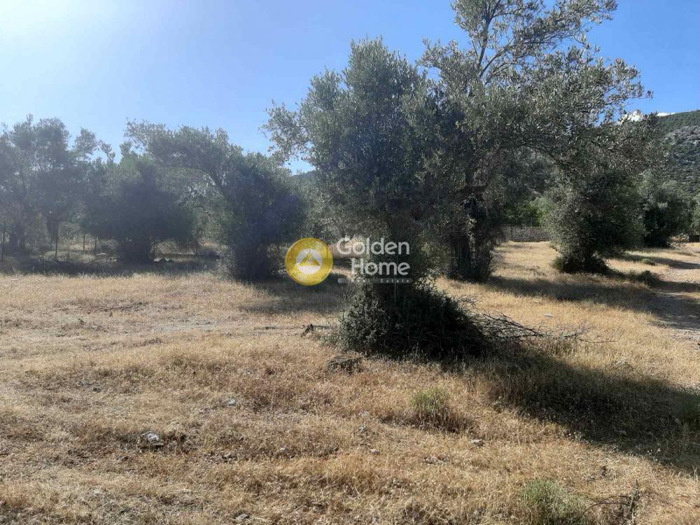Αγροτεμάχια 2.811 τ.μ. προς πώληση, Γέροντας Ερέτριας