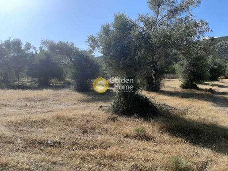 Αγροτεμάχια 2.811τ.μ. για πώληση-Ερέτρια » Γέροντας