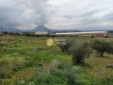 Οικόπεδο 21.540τ.μ. για ενοικίαση-Κόρινθος » Εξαμίλια