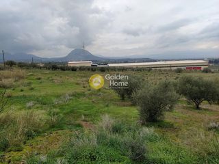 Οικόπεδο 21.540 τ.μ. για ενοικίαση