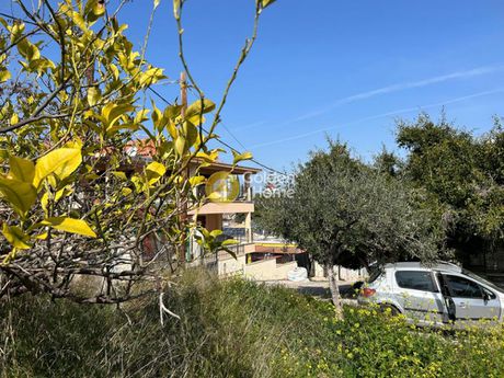 Οικόπεδο 795τ.μ. για πώληση-Κρανίδι » Κάμπος