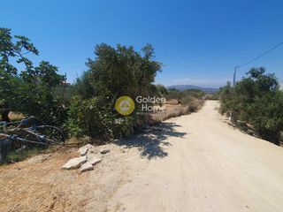 Αγροτεμάχια 3.299 τ.μ. για πώληση