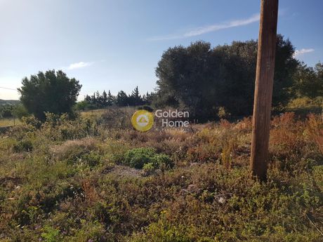 Αγροτεμάχια 3.500τ.μ. για πώληση-Κερατέα » Αρί