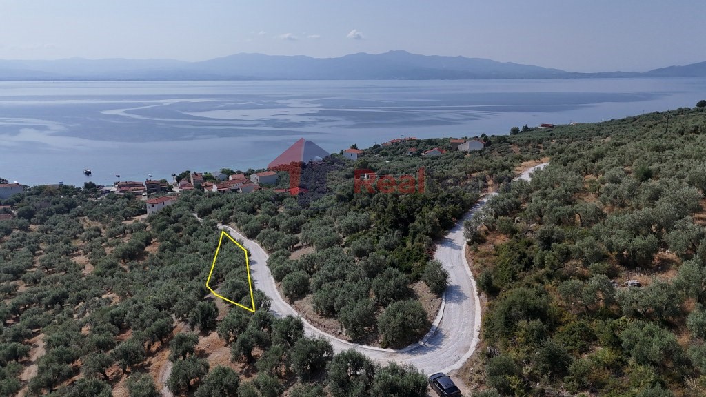 Αγροτεμάχια 1.341 τ.μ. προς πώληση, Άγιος Δημήτριος Πτελεού