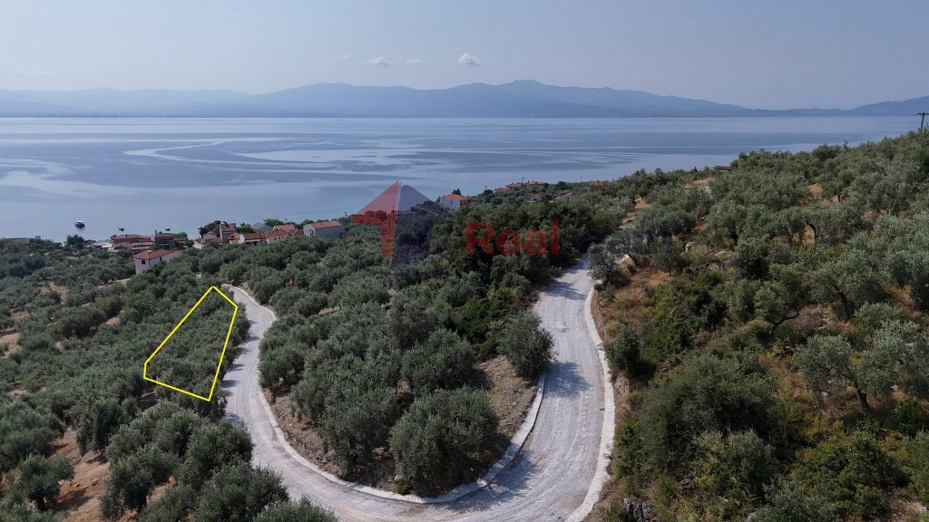 Αγροτεμάχια 1.341 τ.μ. προς πώληση, Άγιος Δημήτριος Πτελεού