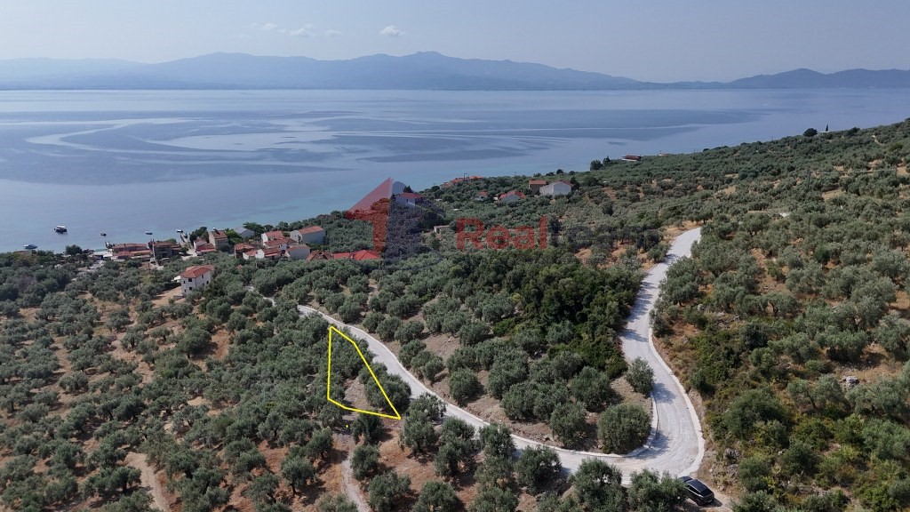 Αγροτεμάχια 1.341 τ.μ. προς πώληση, Άγιος Δημήτριος Πτελεού