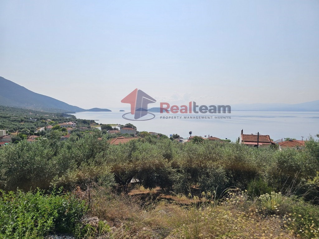 Αγροτεμάχια 1.341 τ.μ. προς πώληση, Άγιος Δημήτριος Πτελεού