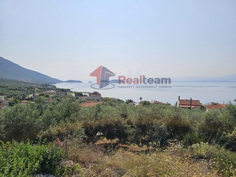 Αγροτεμάχια 1.341τ.μ. για πώληση-Πτελεός