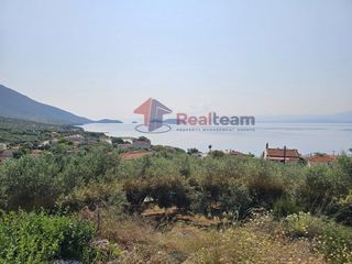 Αγροτεμάχια 1.341 τ.μ. για πώληση