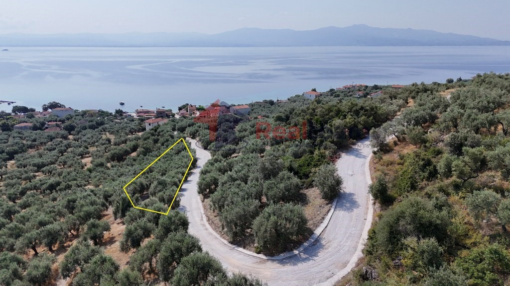 Αγροτεμάχια 1.341 τ.μ. προς πώληση, Άγιος Δημήτριος Πτελεού