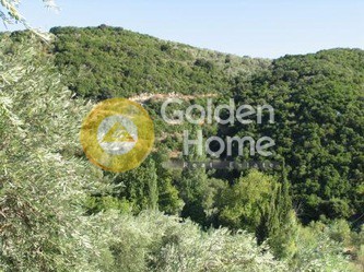 Οικόπεδο 54.000 τ.μ. πρός πώληση, Μαγνησία, Αργαλαστή