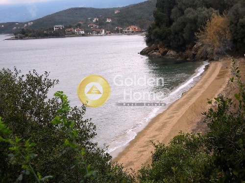 Οικόπεδο 54.000 τ.μ. πρός πώληση, Μαγνησία, Αργαλαστή