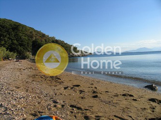 Οικόπεδο 54.000 τ.μ. πρός πώληση, Μαγνησία, Αργαλαστή