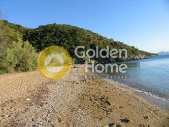 Οικόπεδο 54.000 τ.μ. πρός πώληση, Μαγνησία, Αργαλαστή