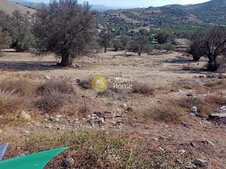 Οικόπεδο 327 τ.μ. για πώληση